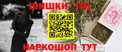 apvp Камышлов