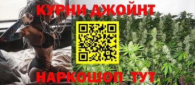 apvp Камышлов