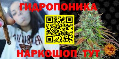 apvp Камышлов