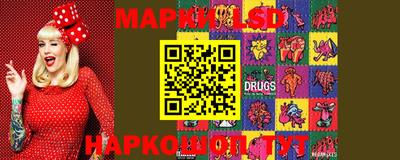 apvp Камышлов