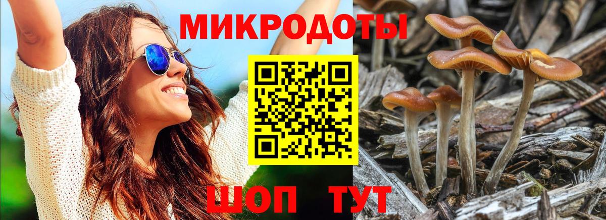 Галлюциногенные грибы Cubensis  Вход с VPN  Королёв  Псилоцибиновые грибы MAGIC MUSHROOMS 